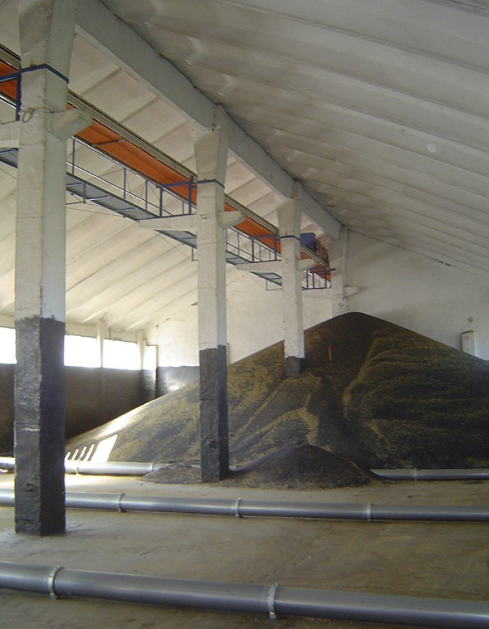 Ambros_Schmelzer_TBR_02