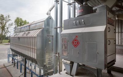 Síkrosta vagy hengerrosta? Melyik magtisztítót válasszuk?